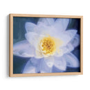 Pinterly Flower Iii - Lola Henry | Cuadro decorativo de Canvas Lab