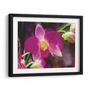 Flor Pintor V - Lola Henry | Cuadro decorativo de Canvas Lab