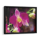 Flor Pintor V - Lola Henry | Cuadro decorativo de Canvas Lab