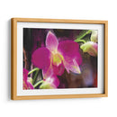 Flor Pintor V - Lola Henry | Cuadro decorativo de Canvas Lab