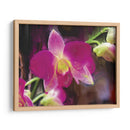 Flor Pintor V - Lola Henry | Cuadro decorativo de Canvas Lab