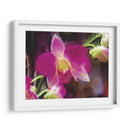 Flor Pintor V - Lola Henry | Cuadro decorativo de Canvas Lab