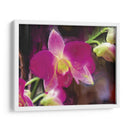 Flor Pintor V - Lola Henry | Cuadro decorativo de Canvas Lab