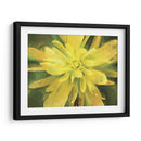 Flor De Pintura Vii - Lola Henry | Cuadro decorativo de Canvas Lab