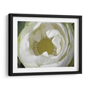 Loto Delicado I - Jim Christensen | Cuadro decorativo de Canvas Lab