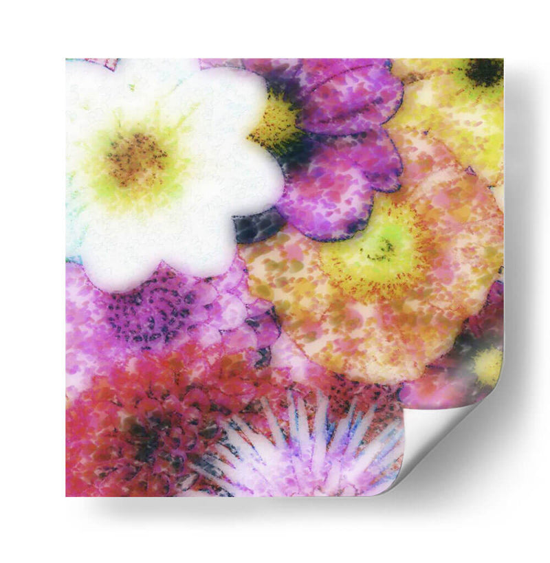 Floral Reef Iv - James Burghardt | Cuadro decorativo de Canvas Lab