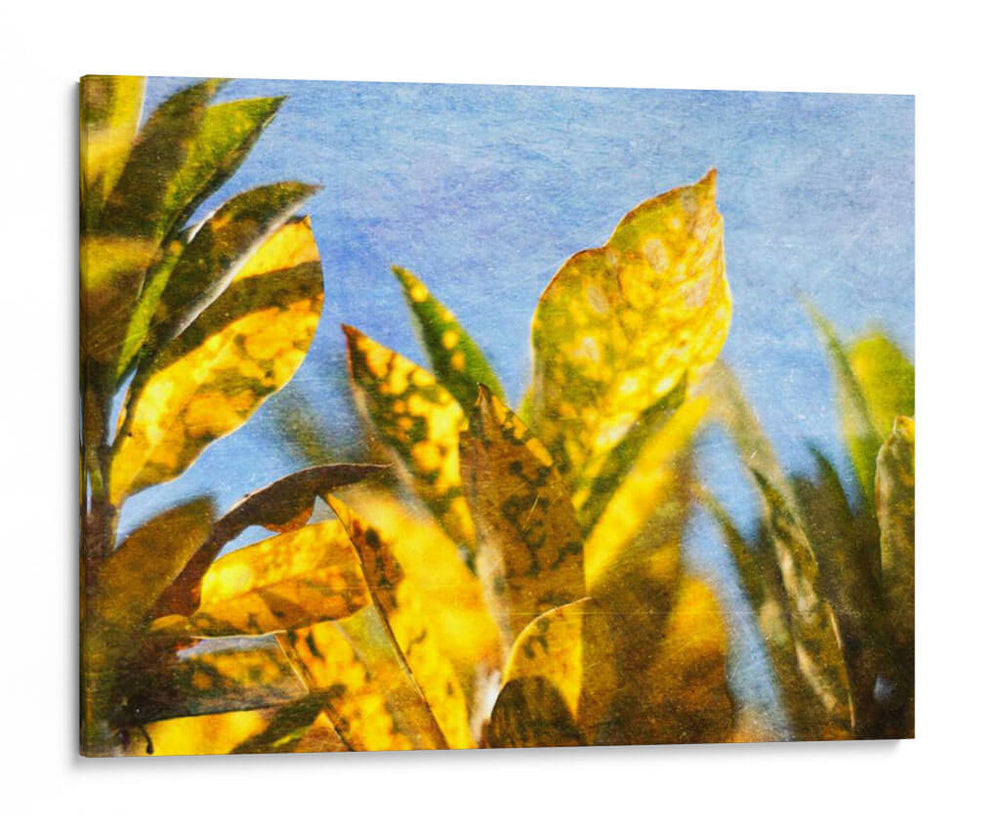 Sol Hacia La Ii - Emily Robinson | Cuadro decorativo de Canvas Lab