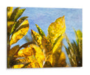 Sol Hacia La Ii - Emily Robinson | Cuadro decorativo de Canvas Lab