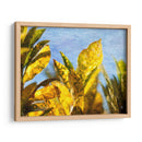 Sol Hacia La Ii - Emily Robinson | Cuadro decorativo de Canvas Lab