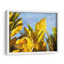Sol Hacia La Ii - Emily Robinson | Cuadro decorativo de Canvas Lab