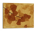 Fantasma Deja - Noah Bay | Cuadro decorativo de Canvas Lab