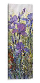 Field Iris I - Tim OToole | Cuadro decorativo de Canvas Lab