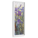 Field Iris I - Tim OToole | Cuadro decorativo de Canvas Lab