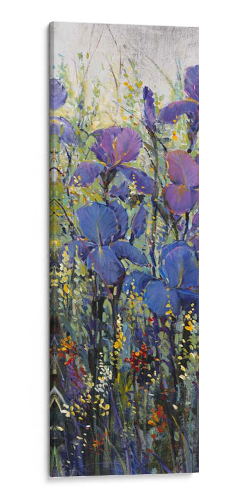 Iris Field Ii - Tim OToole | Cuadro decorativo de Canvas Lab