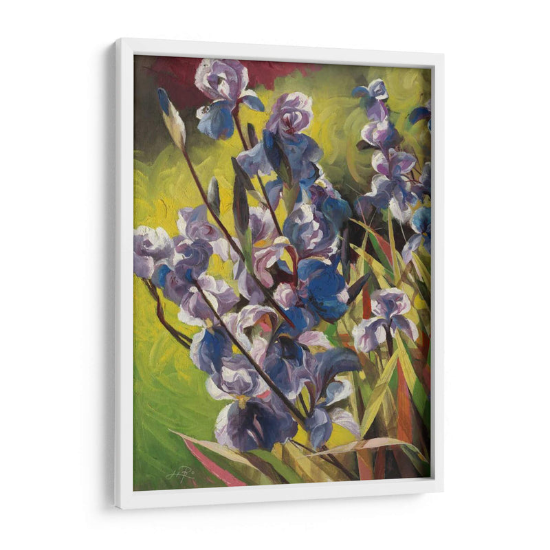 Iris Garden I - Li Bo | Cuadro decorativo de Canvas Lab