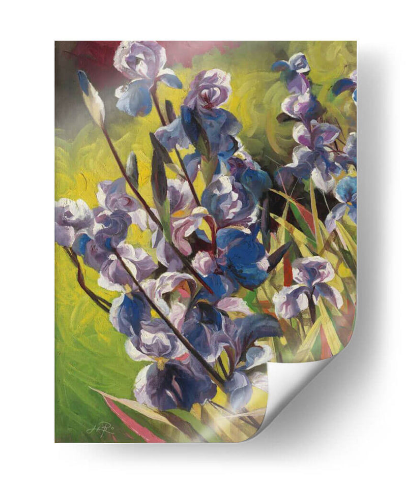 Iris Garden I - Li Bo | Cuadro decorativo de Canvas Lab