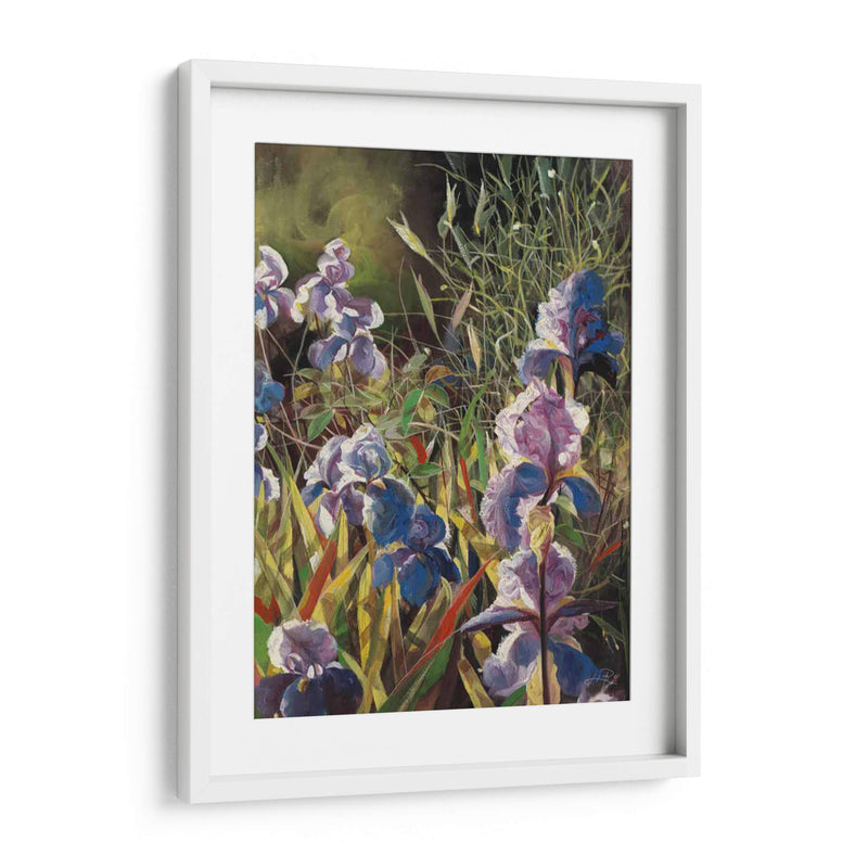 Iris Garden Ii - Li Bo | Cuadro decorativo de Canvas Lab