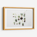 Suculentas con raíz | Cuadro decorativo de Canvas Lab