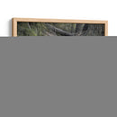 Despertar - Kevin Daniel | Cuadro decorativo de Canvas Lab