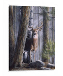 Simplemente Curioso Ii - Kevin Daniel | Cuadro decorativo de Canvas Lab