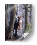 Simplemente Curioso Ii - Kevin Daniel | Cuadro decorativo de Canvas Lab