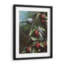 Verano Azul Jays - Kevin Daniel | Cuadro decorativo de Canvas Lab