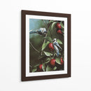 Verano Azul Jays - Kevin Daniel | Cuadro decorativo de Canvas Lab