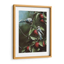 Verano Azul Jays - Kevin Daniel | Cuadro decorativo de Canvas Lab