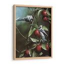 Verano Azul Jays - Kevin Daniel | Cuadro decorativo de Canvas Lab