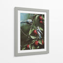 Verano Azul Jays - Kevin Daniel | Cuadro decorativo de Canvas Lab