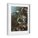 Verano Azul Jays - Kevin Daniel | Cuadro decorativo de Canvas Lab