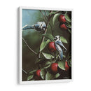 Verano Azul Jays - Kevin Daniel | Cuadro decorativo de Canvas Lab