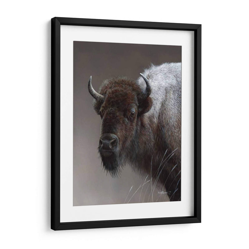 Icono Americano- Buffalo - Kevin Daniel | Cuadro decorativo de Canvas Lab