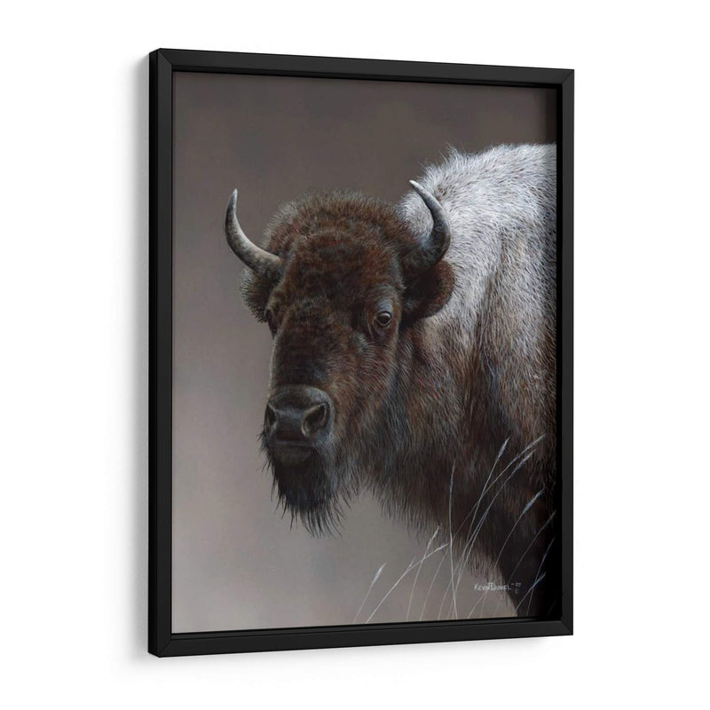 Icono Americano- Buffalo - Kevin Daniel | Cuadro decorativo de Canvas Lab