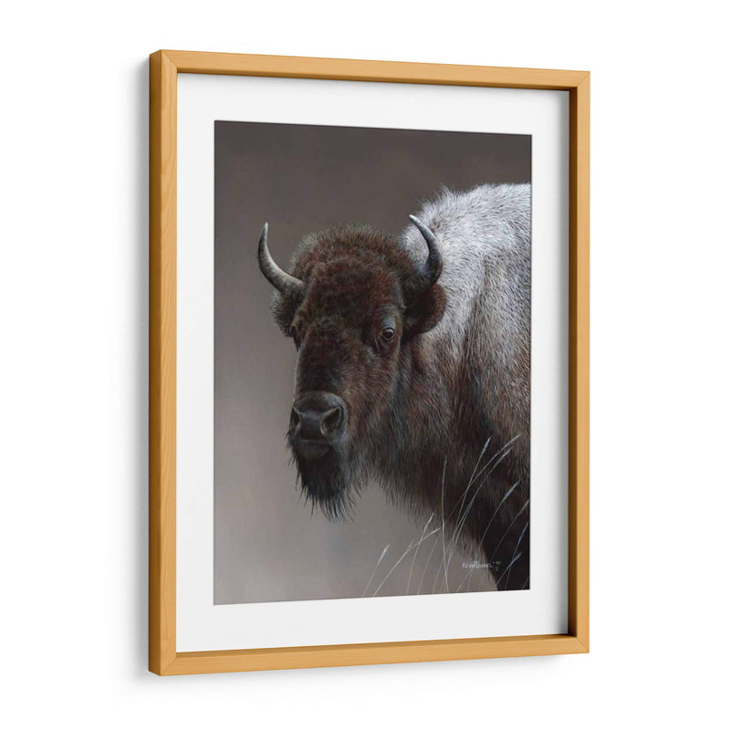 Icono Americano- Buffalo - Kevin Daniel | Cuadro decorativo de Canvas Lab