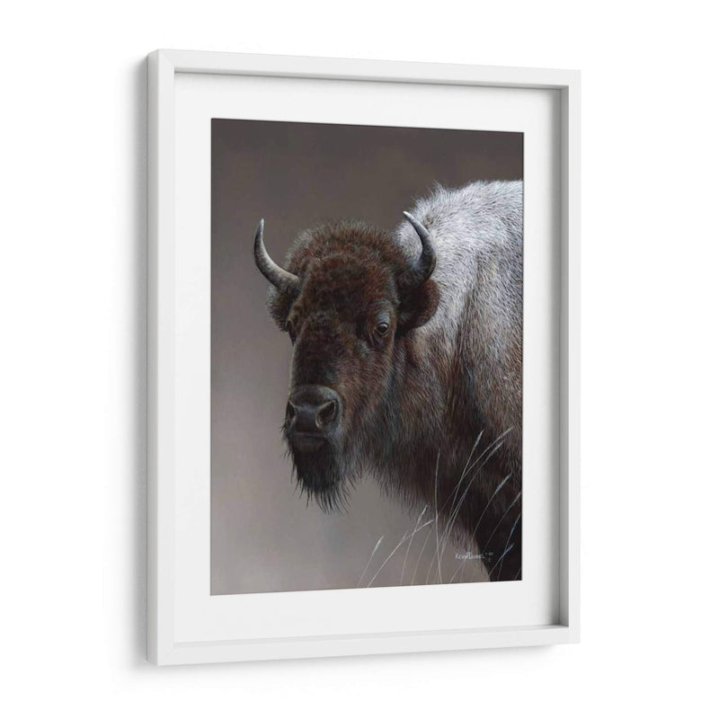 Icono Americano- Buffalo - Kevin Daniel | Cuadro decorativo de Canvas Lab