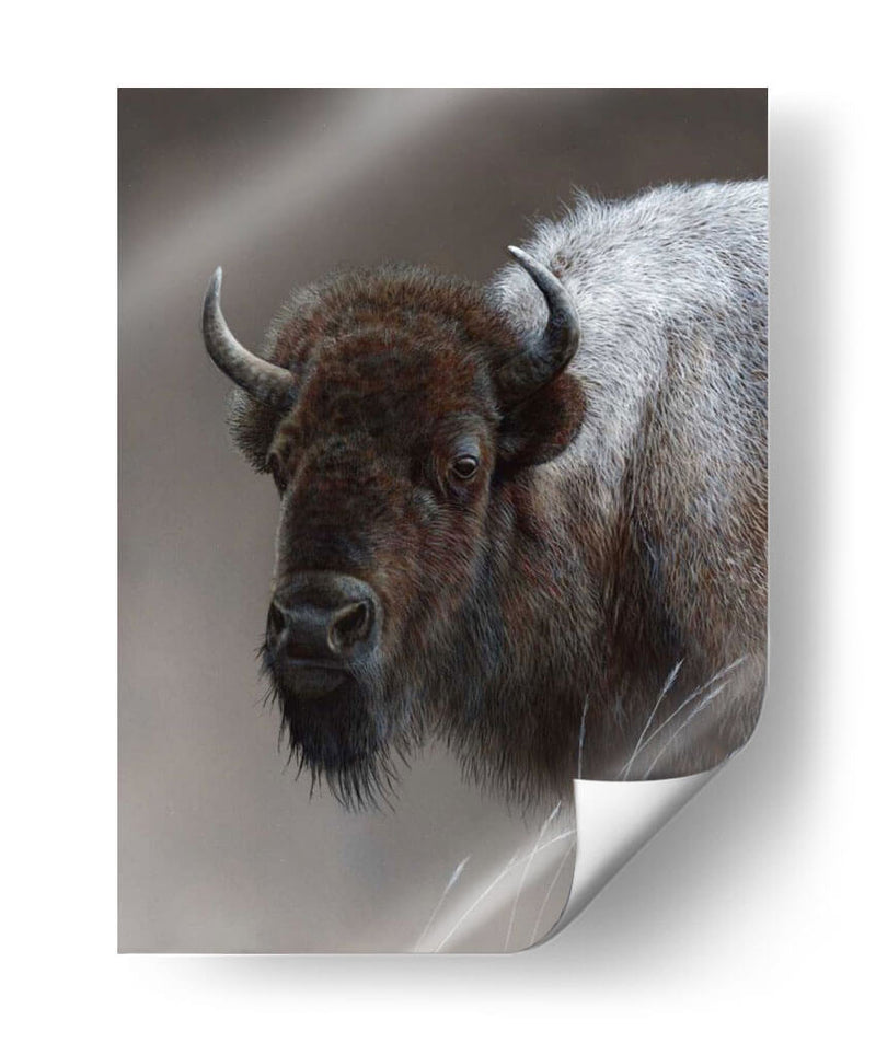 Icono Americano- Buffalo - Kevin Daniel | Cuadro decorativo de Canvas Lab