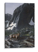 Elk De La Montaña I - Kevin Daniel | Cuadro decorativo de Canvas Lab
