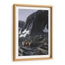 Elk De La Montaña I - Kevin Daniel | Cuadro decorativo de Canvas Lab