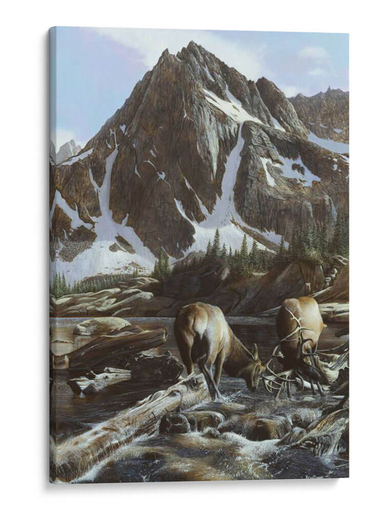 Ladera Elk Ii - Kevin Daniel | Cuadro decorativo de Canvas Lab