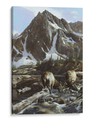 Ladera Elk Ii - Kevin Daniel | Cuadro decorativo de Canvas Lab