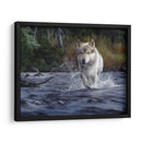 El Cruce - Kevin Daniel | Cuadro decorativo de Canvas Lab