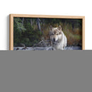 El Cruce - Kevin Daniel | Cuadro decorativo de Canvas Lab