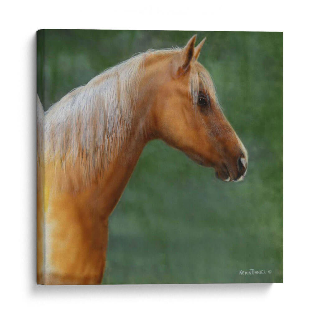 Palomino - Kevin Daniel | Cuadro decorativo de Canvas Lab