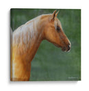 Palomino - Kevin Daniel | Cuadro decorativo de Canvas Lab