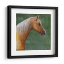 Palomino - Kevin Daniel | Cuadro decorativo de Canvas Lab