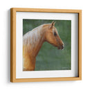 Palomino - Kevin Daniel | Cuadro decorativo de Canvas Lab