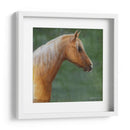 Palomino - Kevin Daniel | Cuadro decorativo de Canvas Lab