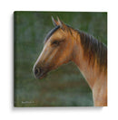 Mustango - Kevin Daniel | Cuadro decorativo de Canvas Lab