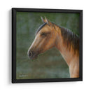 Mustango - Kevin Daniel | Cuadro decorativo de Canvas Lab